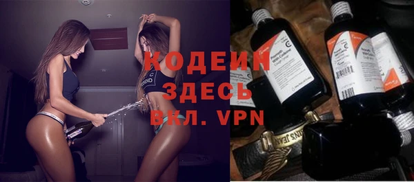 2c-b Бородино