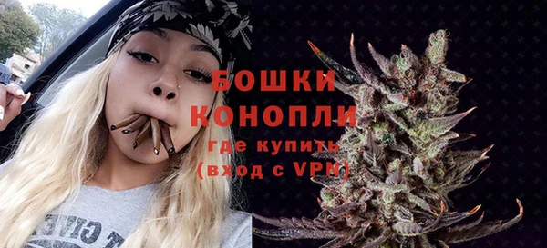 2c-b Бородино