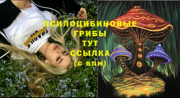 ECSTASY Бугульма