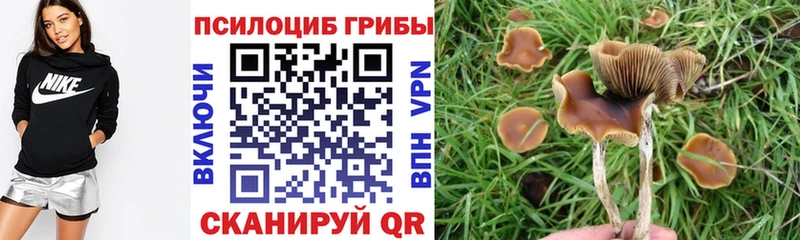 Псилоцибиновые грибы прущие грибы Туапсе